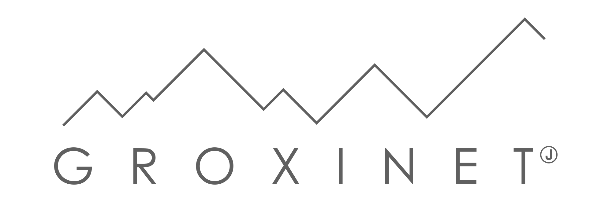 Groxinet Logo